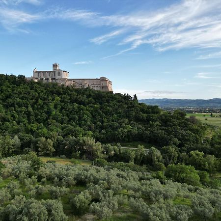 La Casa Tra Gli Ulivi Bed & Breakfast Assisi Eksteriør bilde