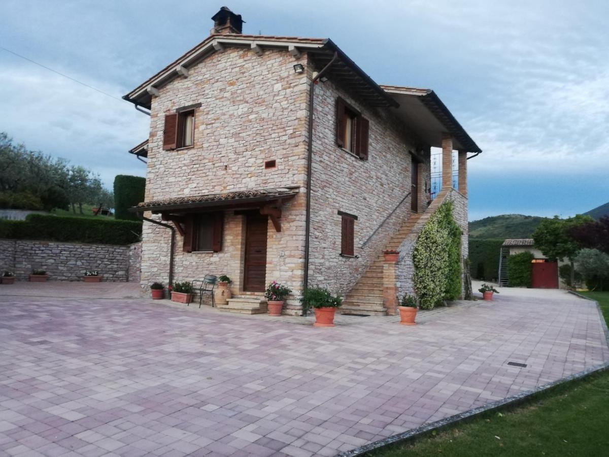 La Casa Tra Gli Ulivi Bed & Breakfast Assisi Eksteriør bilde