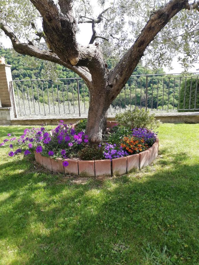 La Casa Tra Gli Ulivi Bed & Breakfast Assisi Eksteriør bilde