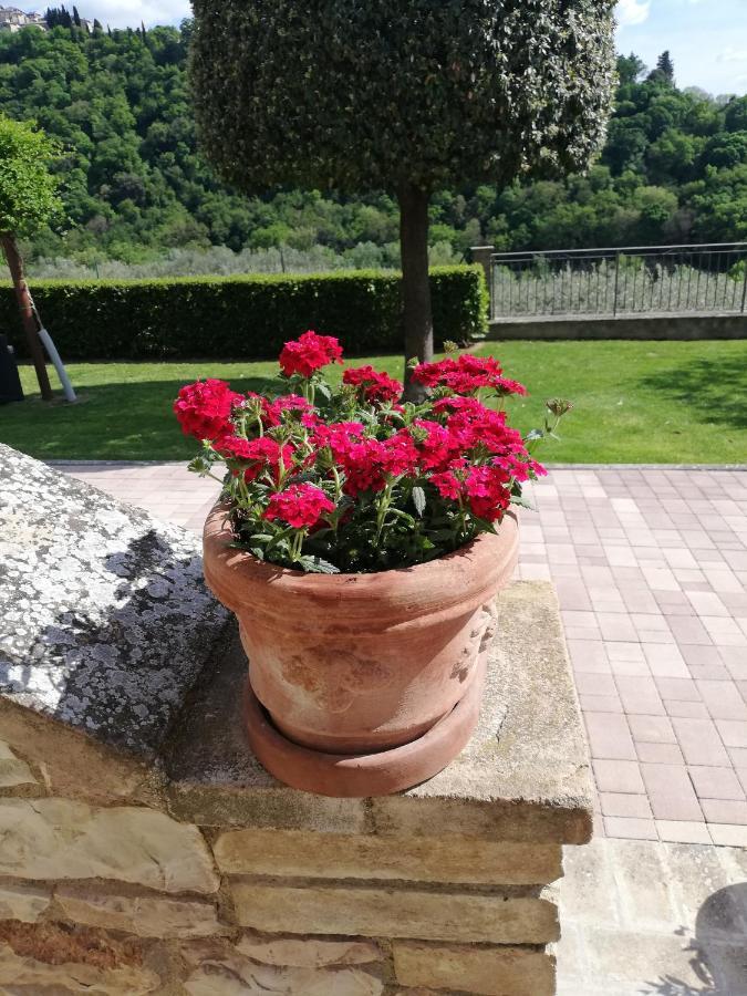 La Casa Tra Gli Ulivi Bed & Breakfast Assisi Eksteriør bilde
