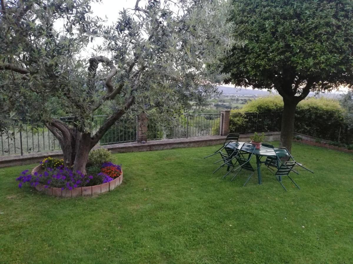 La Casa Tra Gli Ulivi Bed & Breakfast Assisi Eksteriør bilde
