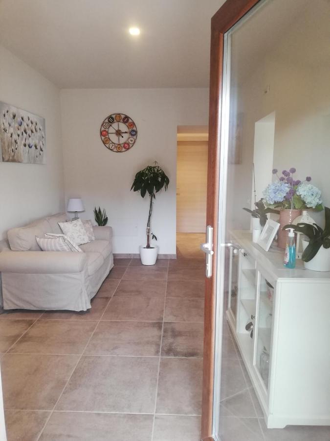 La Casa Tra Gli Ulivi Bed & Breakfast Assisi Eksteriør bilde