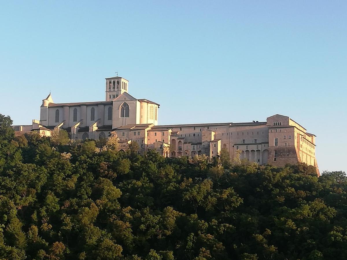 La Casa Tra Gli Ulivi Bed & Breakfast Assisi Eksteriør bilde