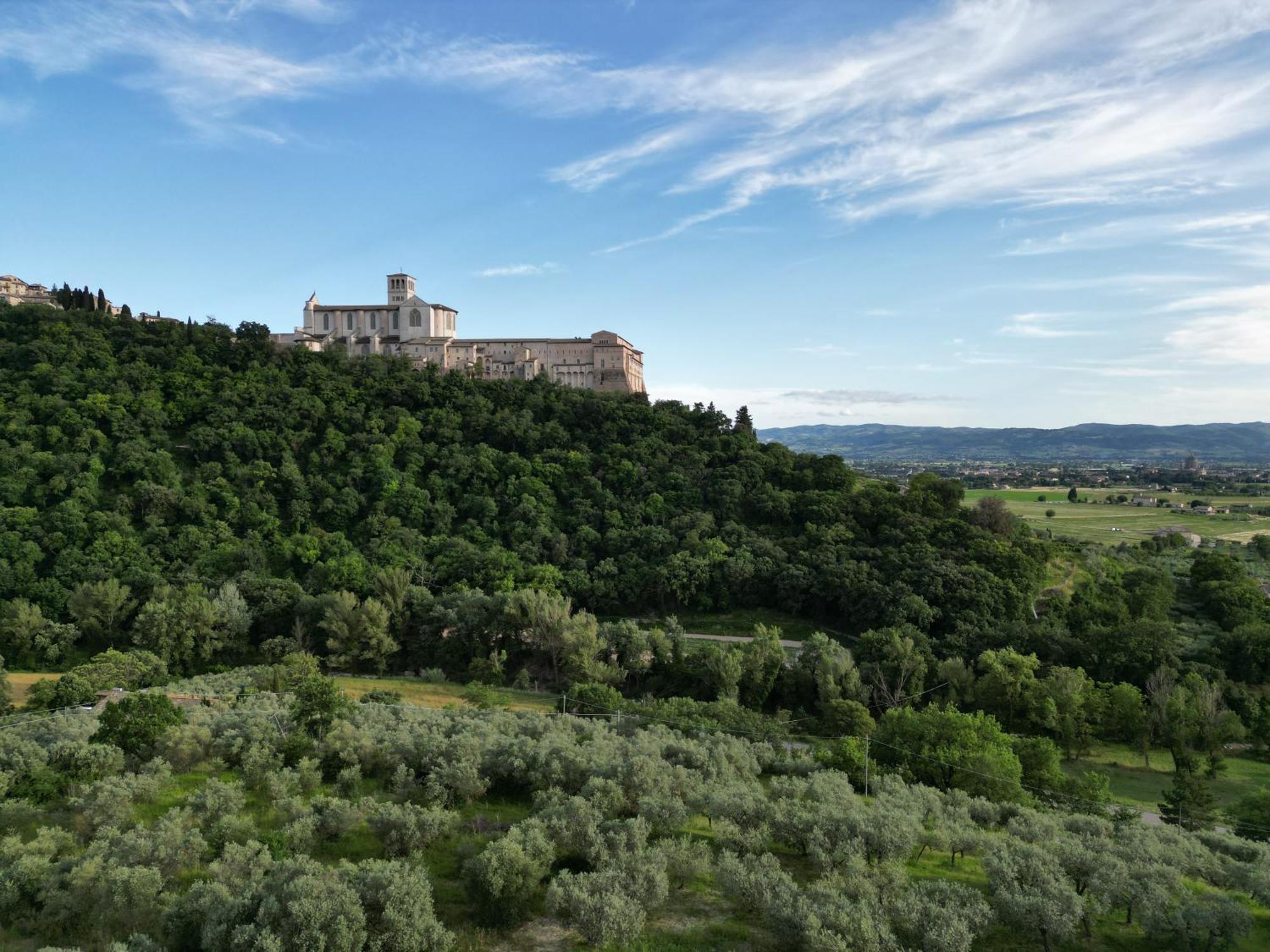 La Casa Tra Gli Ulivi Bed & Breakfast Assisi Eksteriør bilde