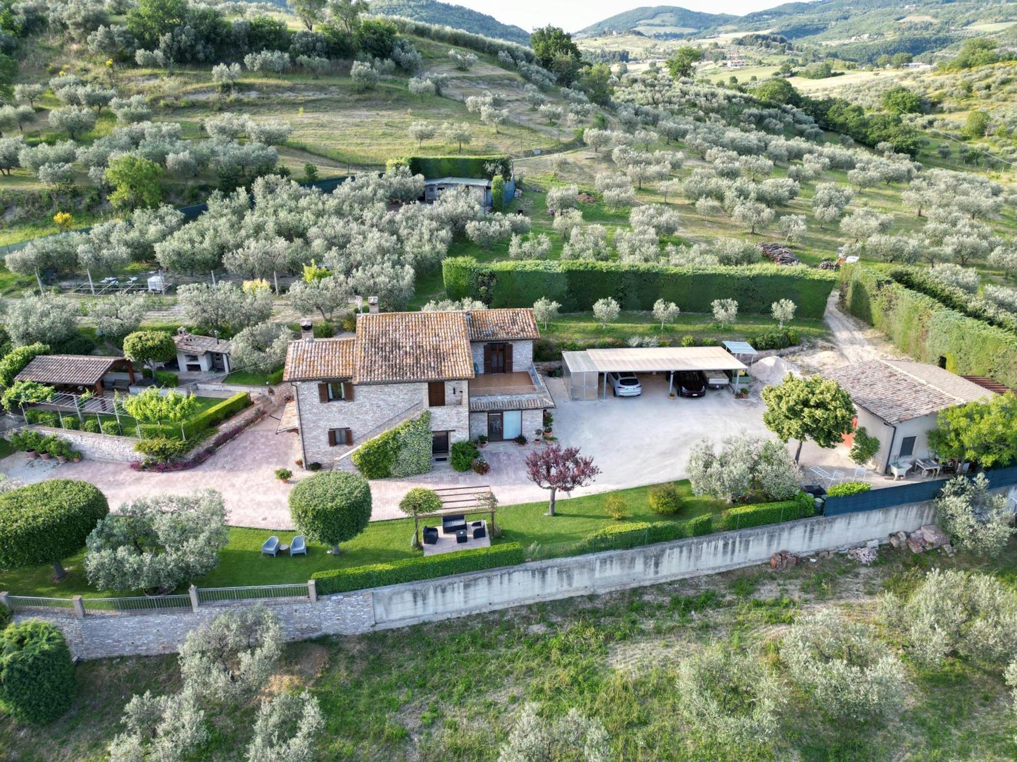 La Casa Tra Gli Ulivi Bed & Breakfast Assisi Eksteriør bilde